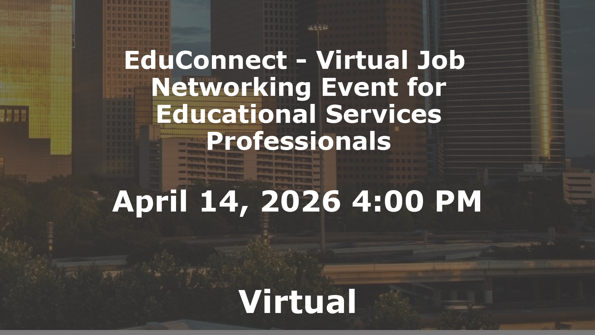 EduConnect - Virtual Job  Networking Event for Educational Services Professionals event image